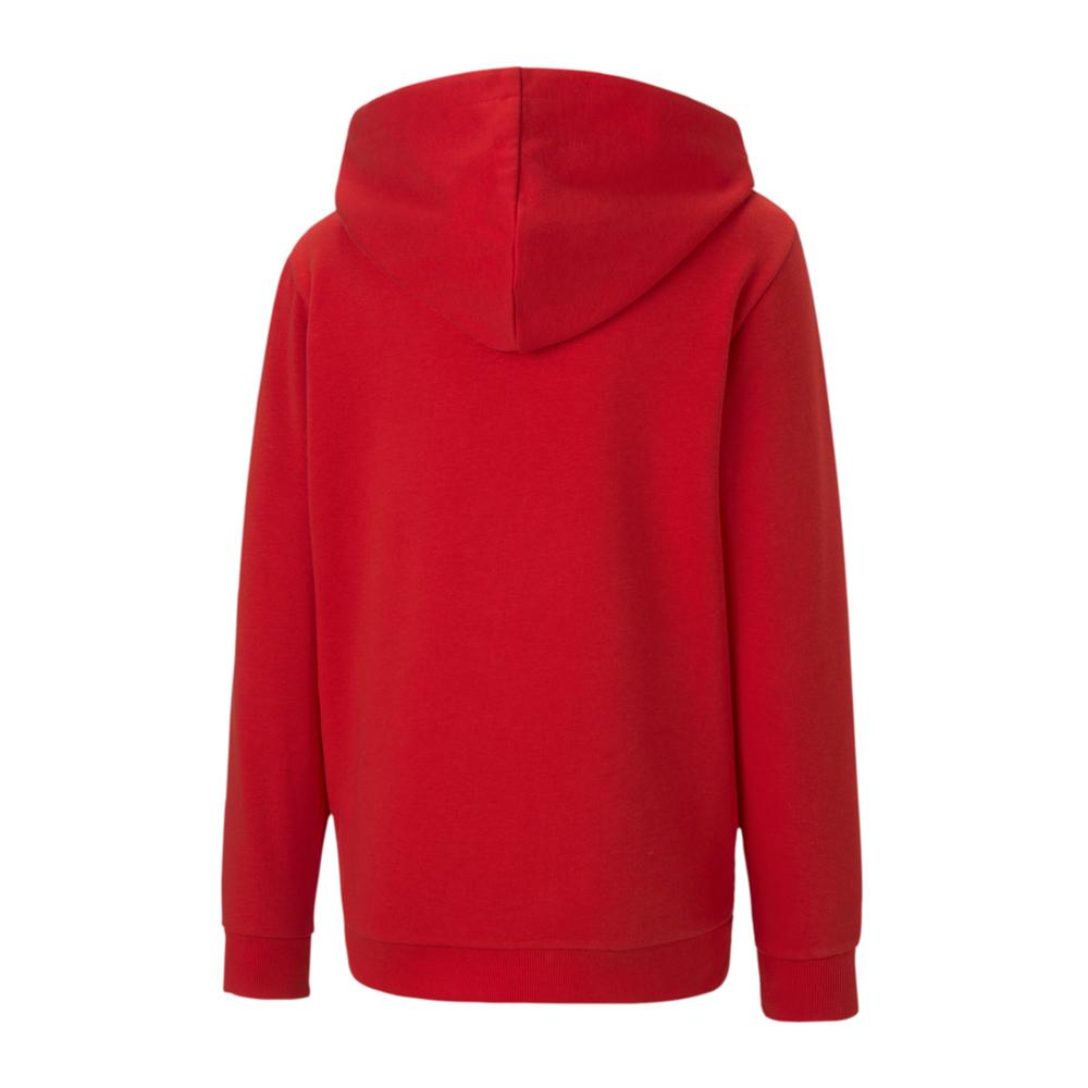 Sweat Zippé Rouge Garçon Puma Teamgoal 23 vue 2