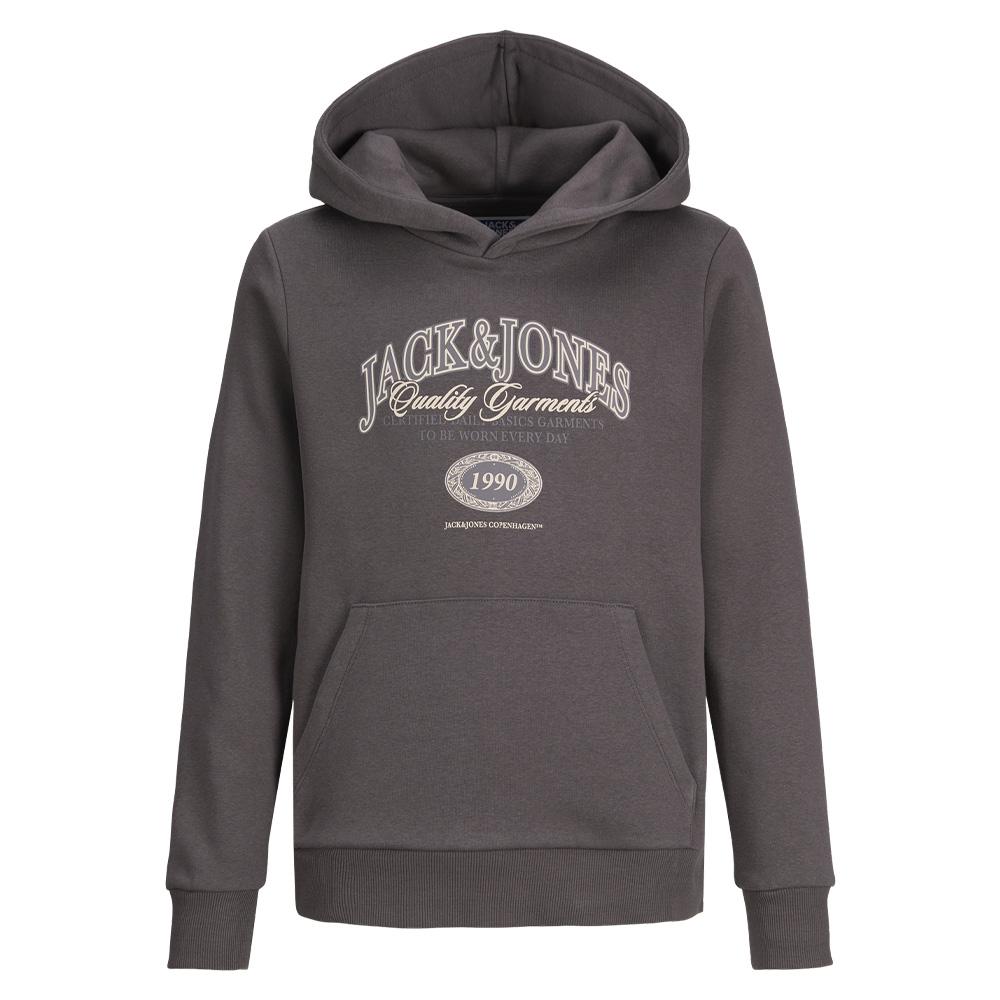 Sweat Gris Garçon Jack & Jones Ari pas cher