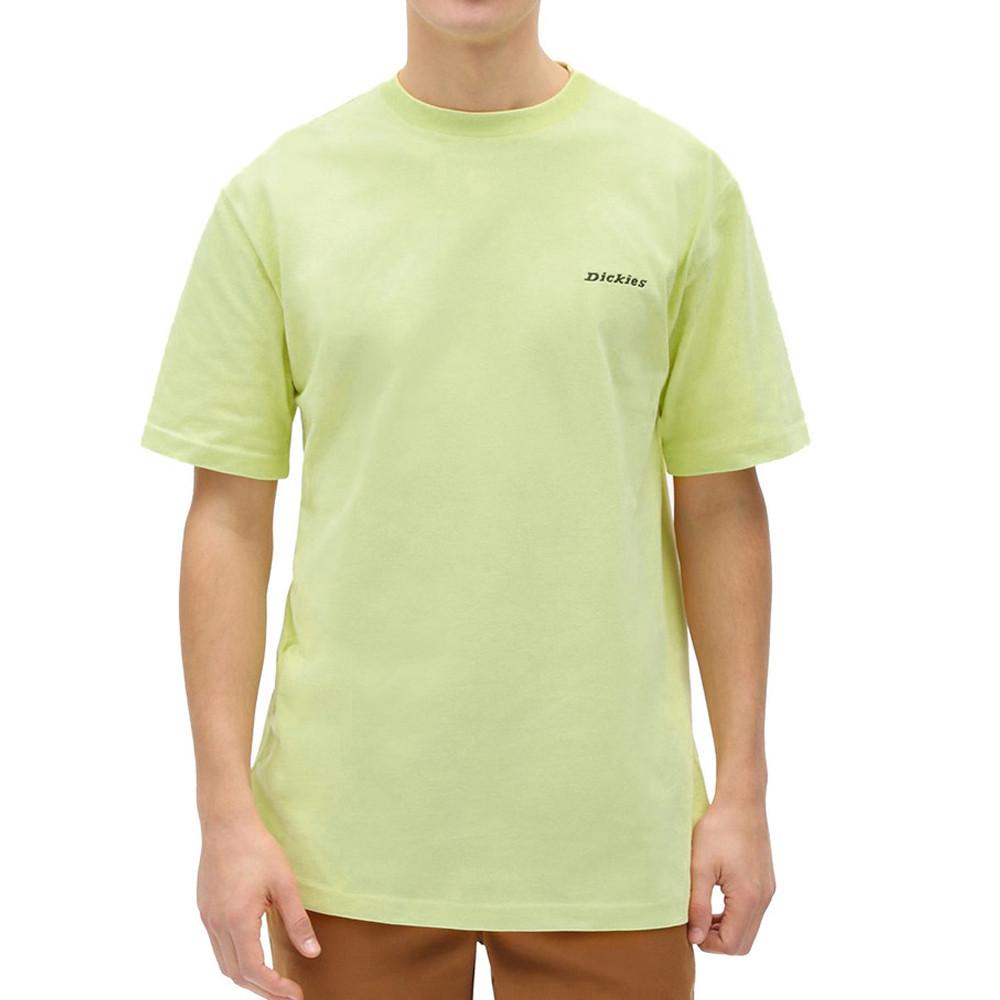 T-shirt Vert Homme Dickies Loretto pas cher