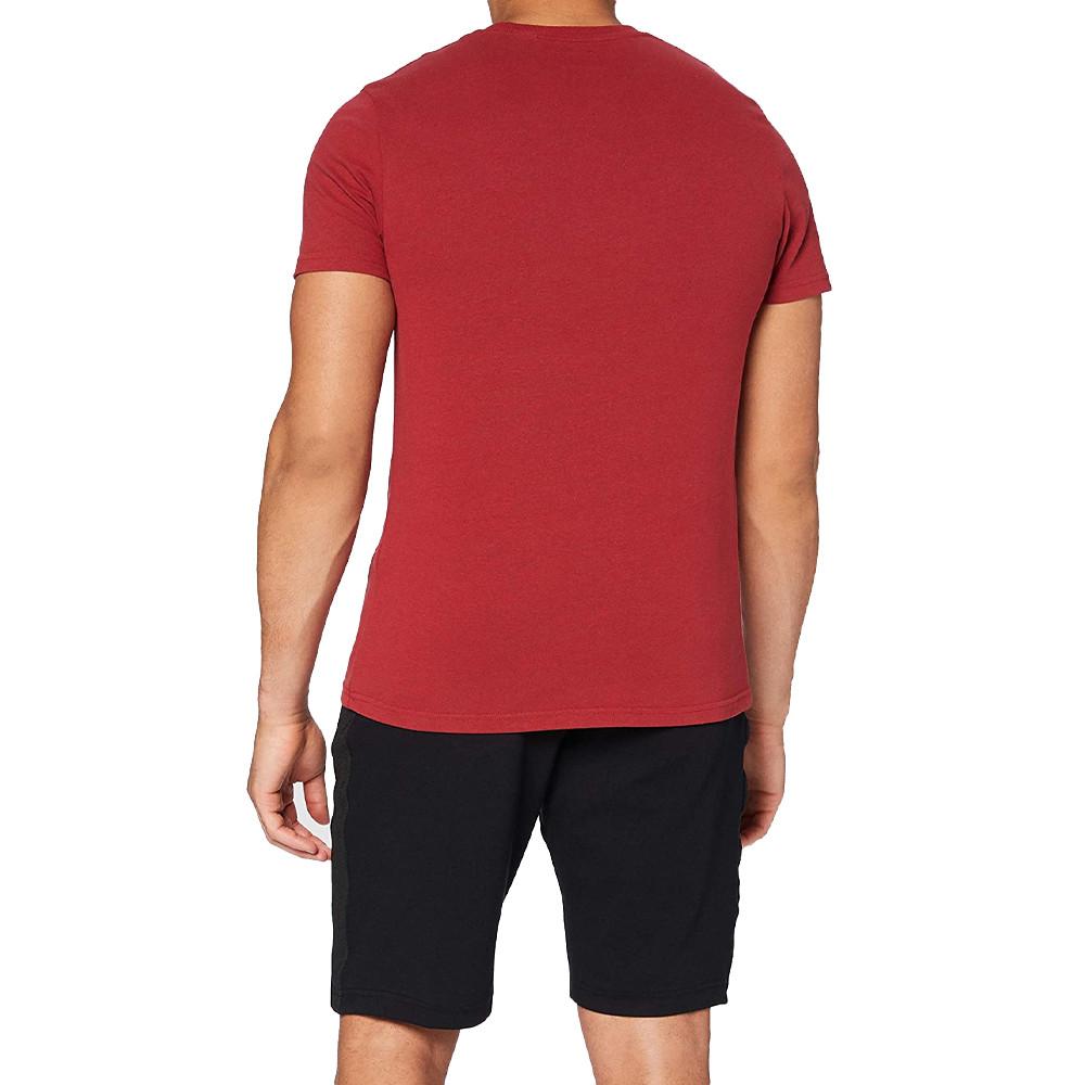 T-Shirt rouge homme Superdry CL Wilderness vue 2