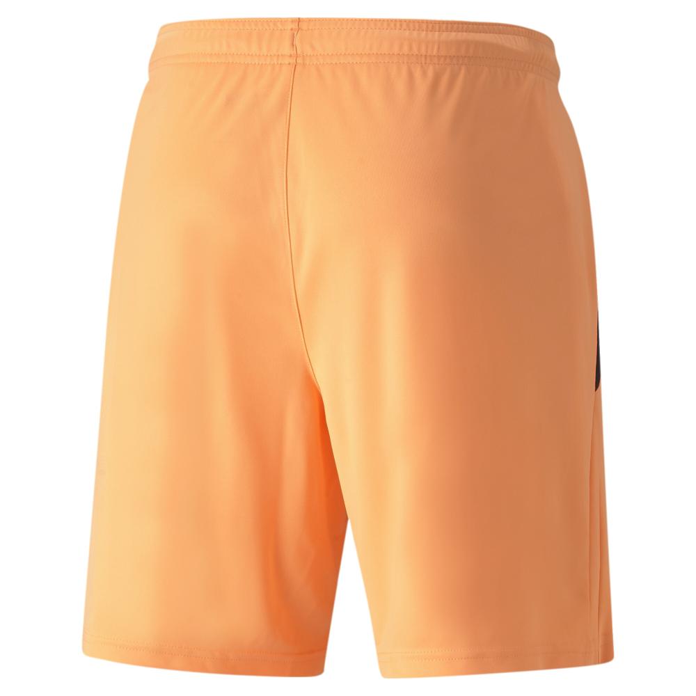 Short de Sport Orange Homme Puma Teamliga vue 2