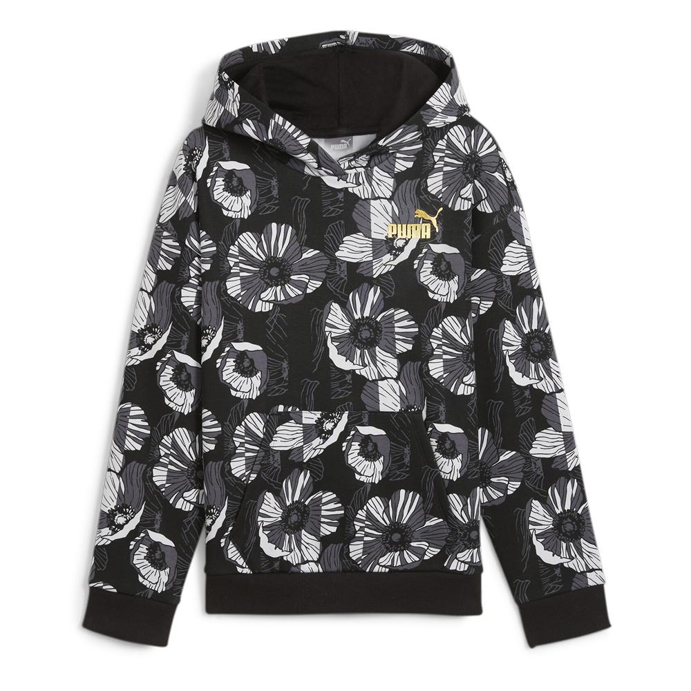 Sweat à Capuche Noir/Gris Fille Puma Ess+ Class pas cher