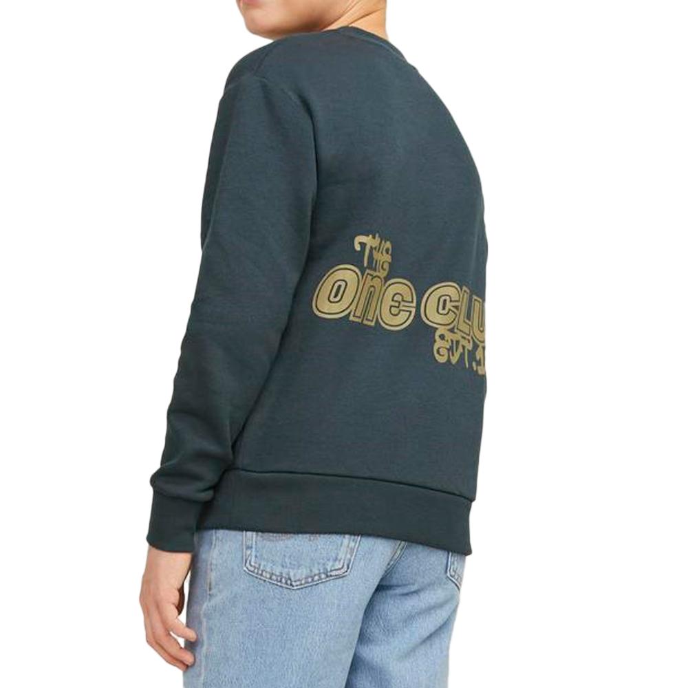Sweat Bleu Garçon Jack & Jones Collect Edt vue 2