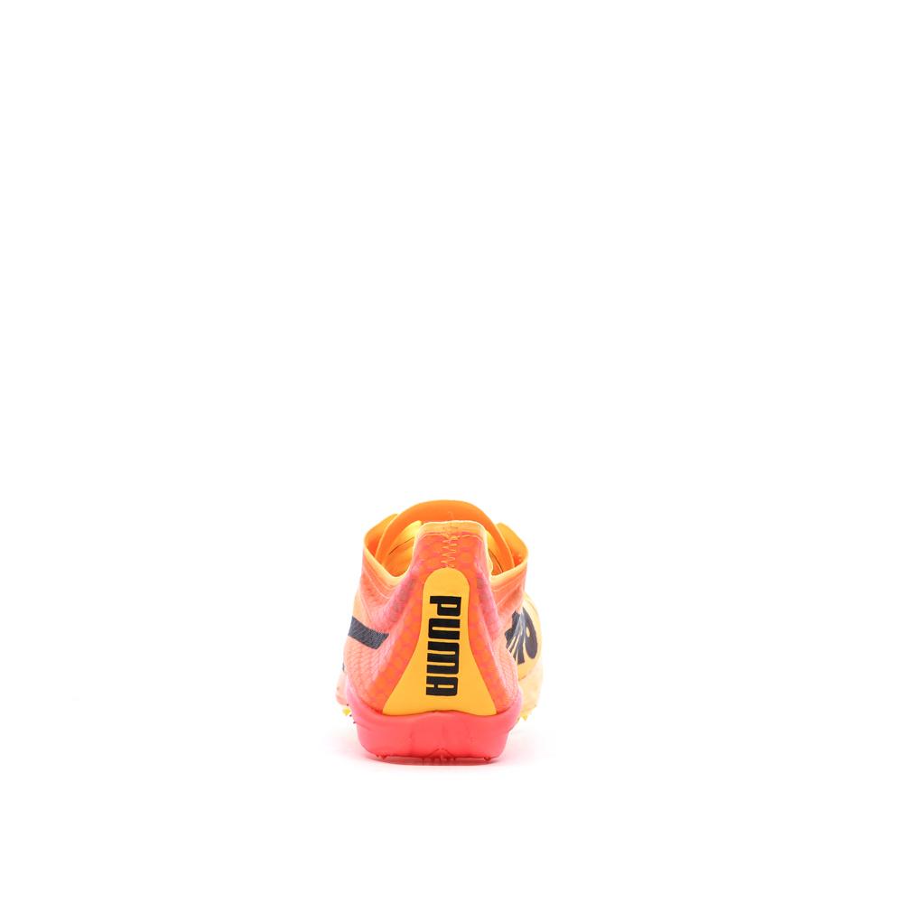 Athletics shoes Orange Men Puma Evospeed Distance Nitro Elite Photo of the Espace des Marques %store% store - view of %key%