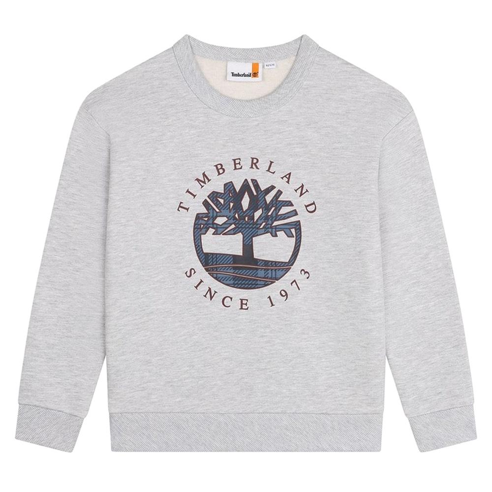 Graues Sweatshirt für Jungen von Timberland T60319 günstig