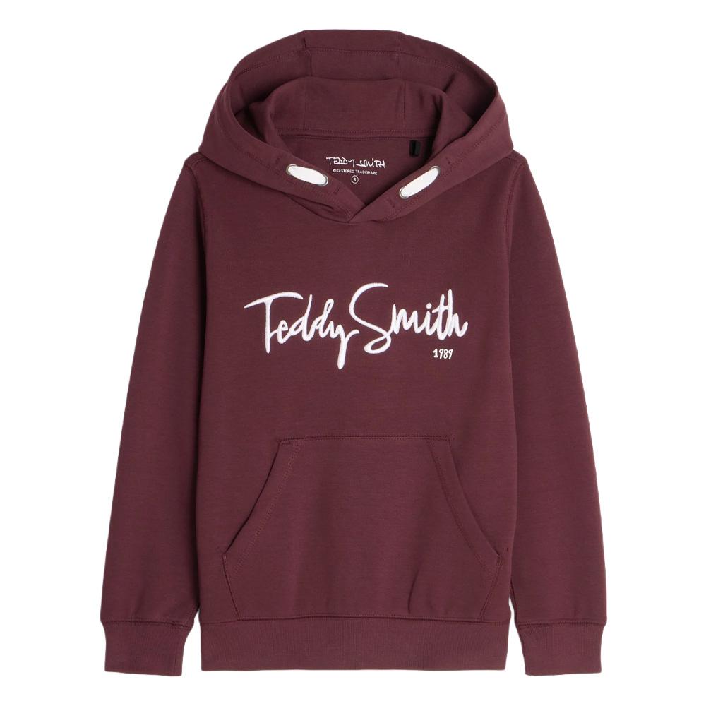Sweat à Capuche Bordeaux Garçon Teddy Smith Evry1 pas cher