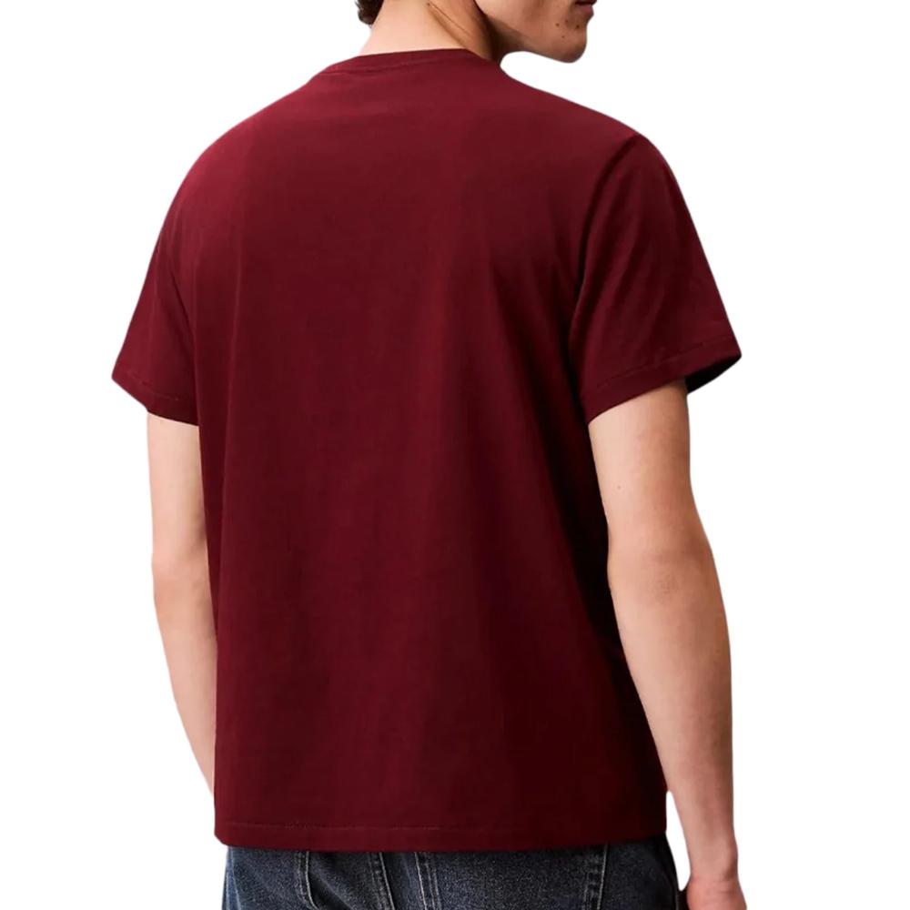 T-Shirt Rouge Homme Calvin Klein Jeans Easy LV04RC275G vue 2