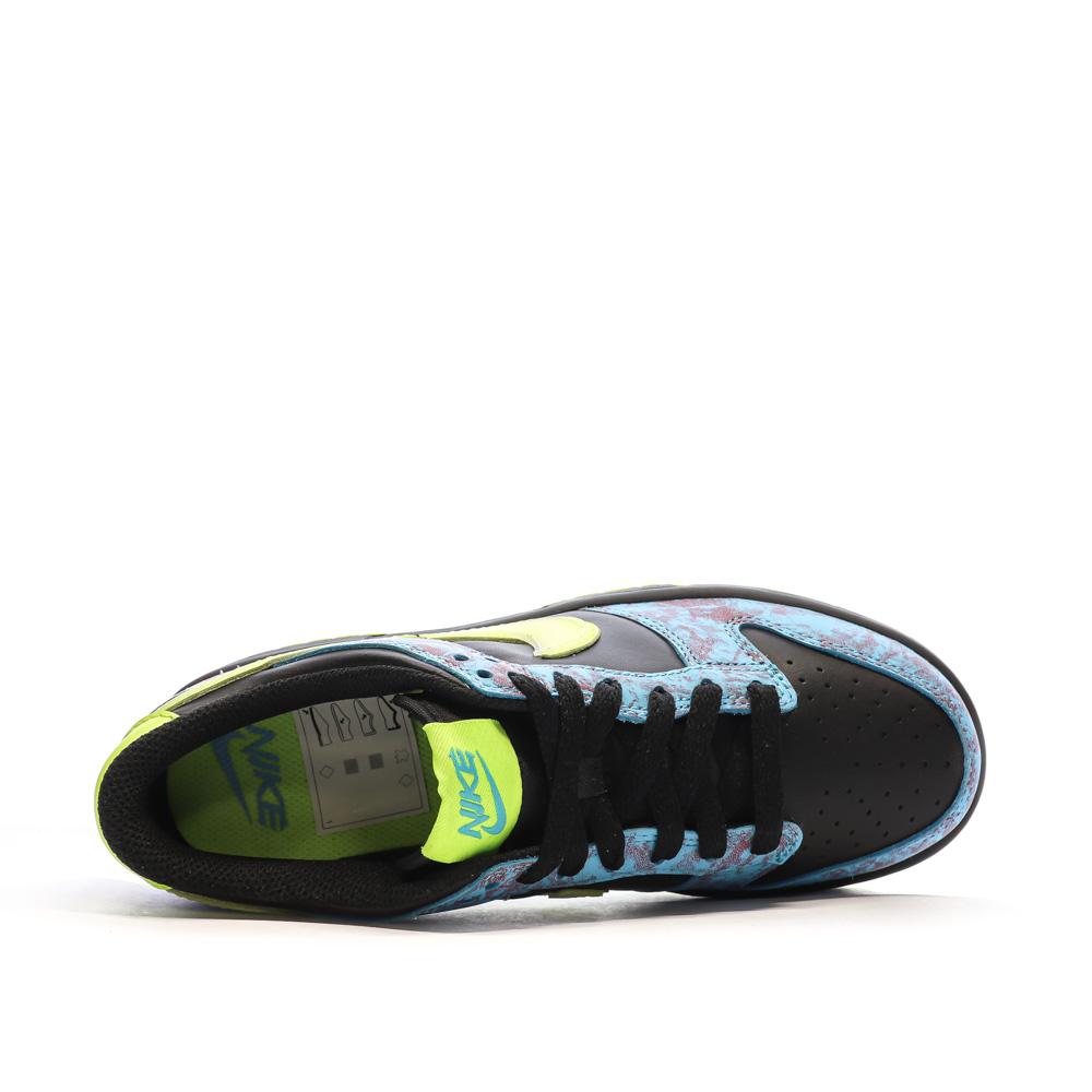 Baskets Noire/Verte Garçon Nike Dunk Low vue 4