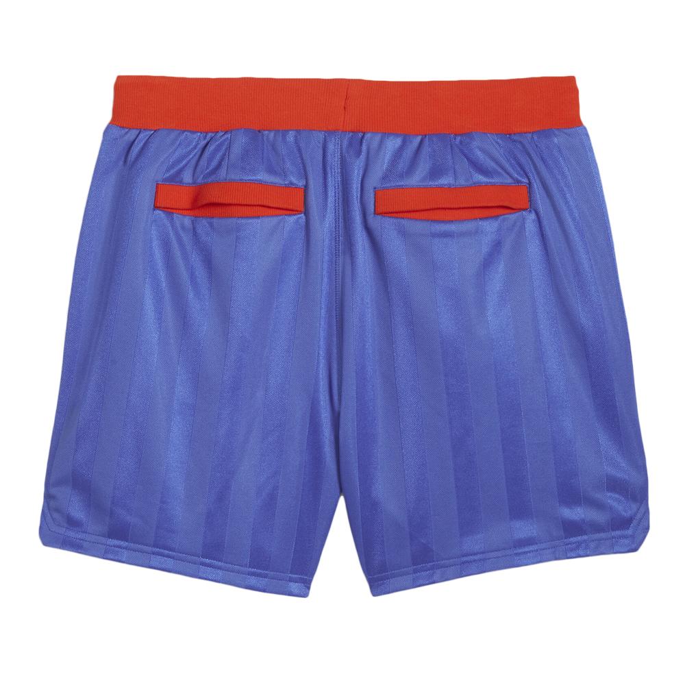 Short Bleu Homme Puma Fantasy vue 2