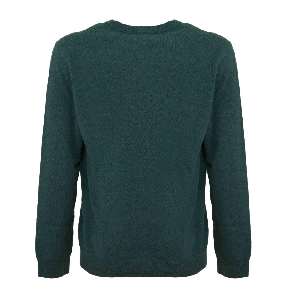 Pull Vert Homme Lacoste Jardin vue 2