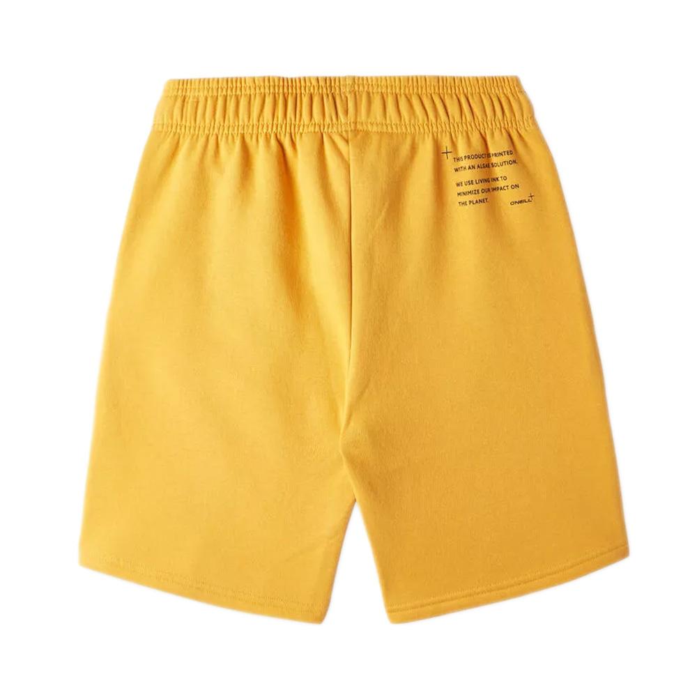 Short Orange Garçon O'Neill Future vue 2