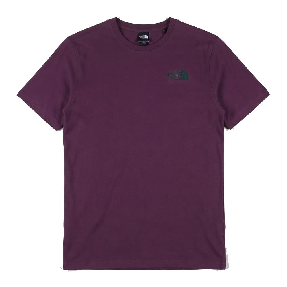 T-shirt Violet Homme The North Face Mount pas cher