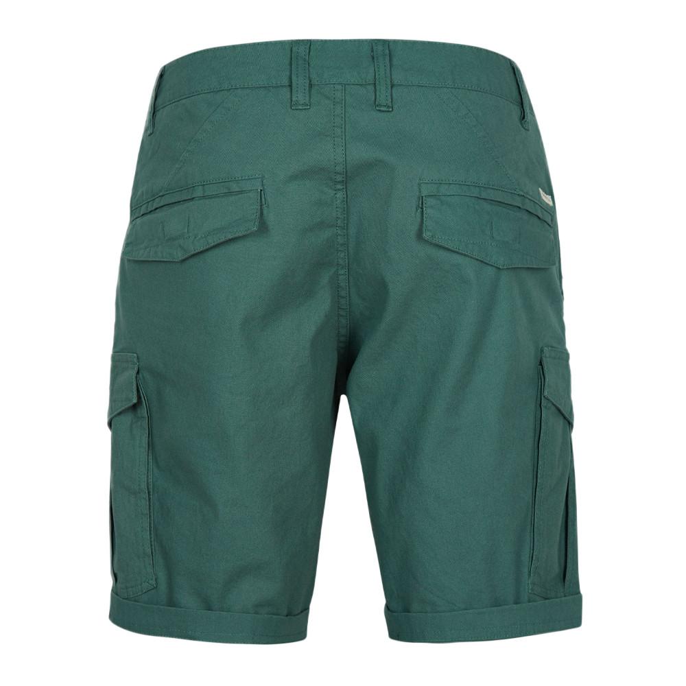 Short Cargo Bleu Homme O'Neill Beach Break vue 2