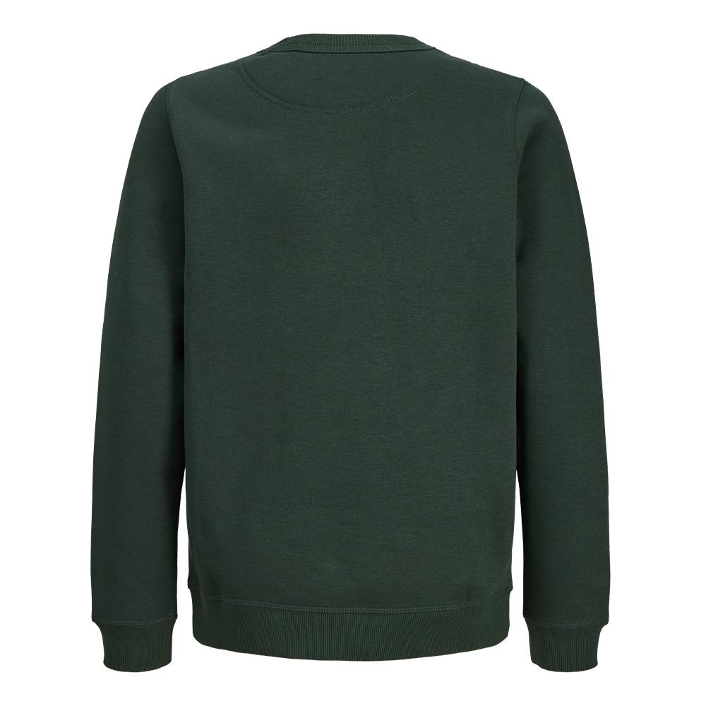 Sweat Vert Garçon Jack & Jones Norrebro vue 2