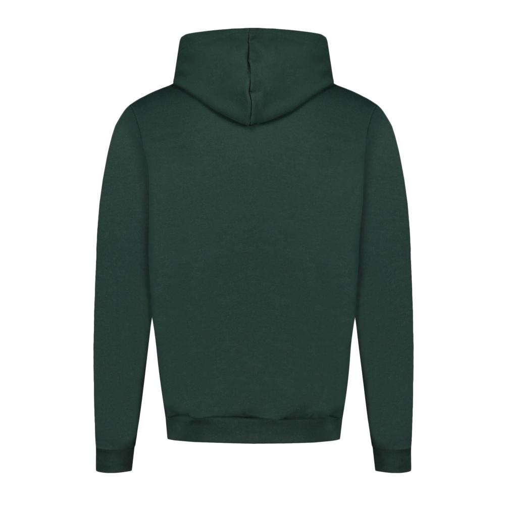 Sweat Vert Homme Le Coq Sportif Contemporain Sp Hoody N°1 vue 2