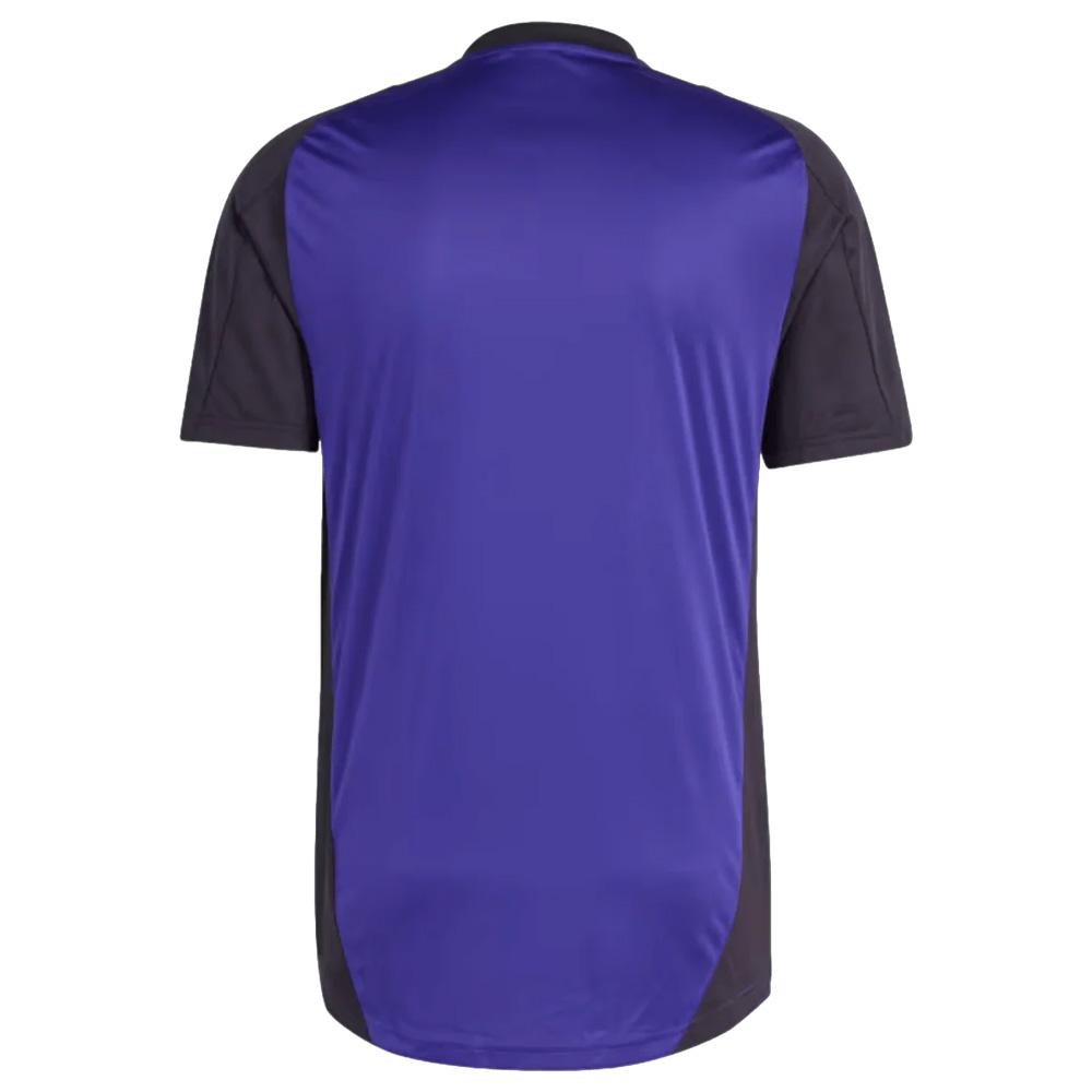 Allemagne Maillot Training Homme Adidas 2024 vue 2
