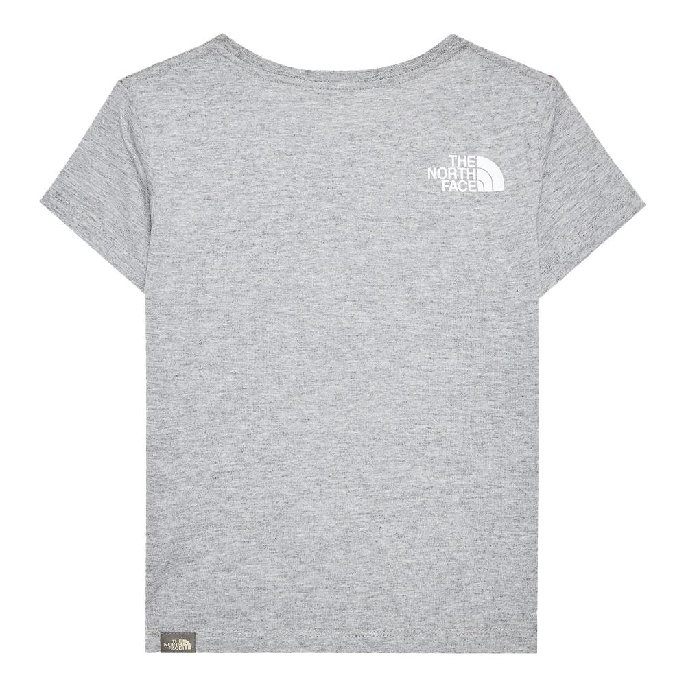 Camiseta gris para niño The North Face Graphic ver 2