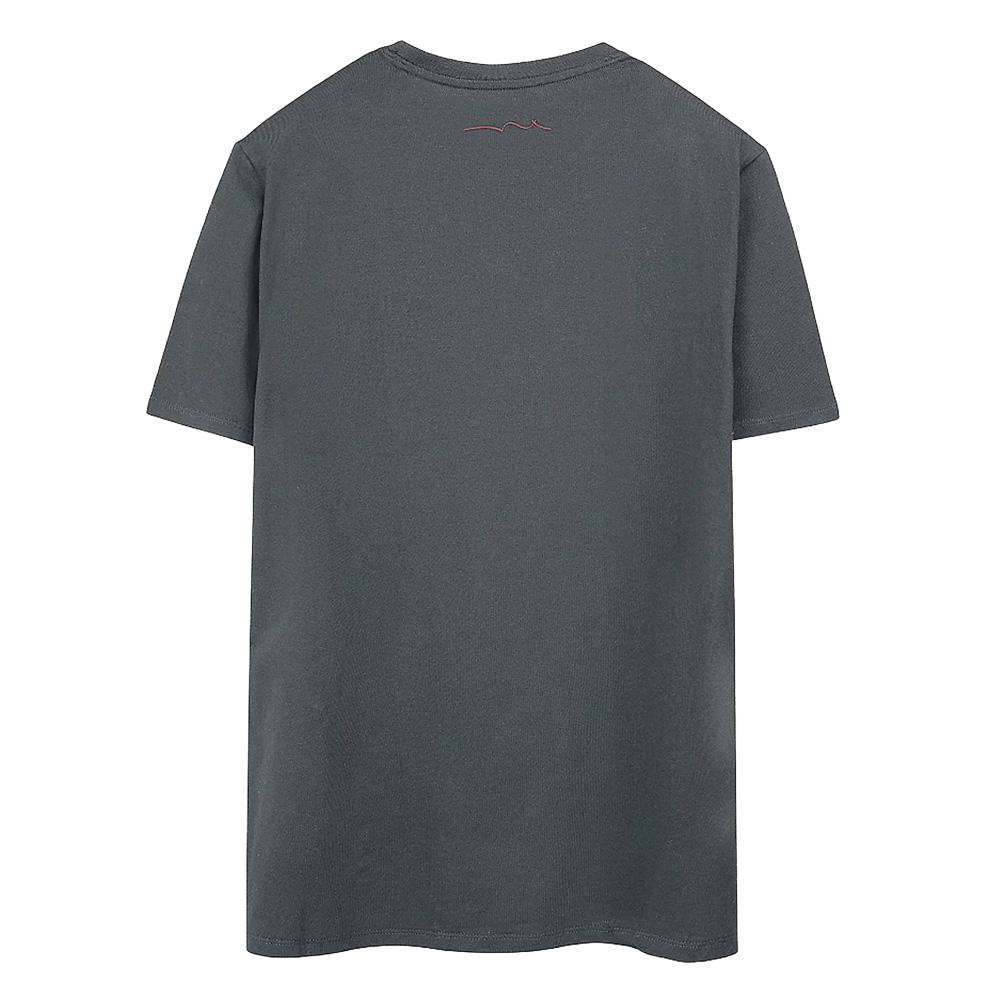 T-Shirt Gris Garçon Teddy Smith Company vue 2