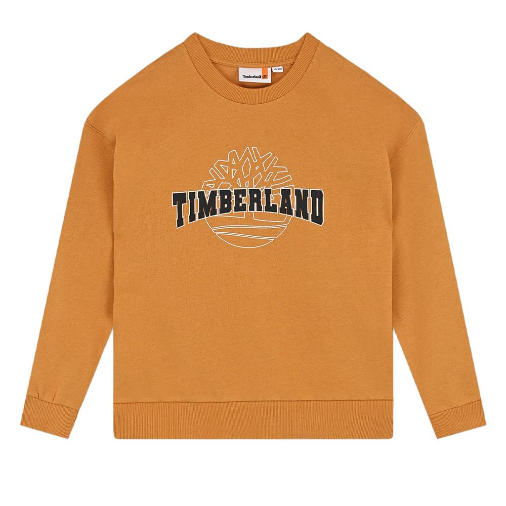 Yellow Timberland Boys’ Sweatshirt T60315/589 affordable