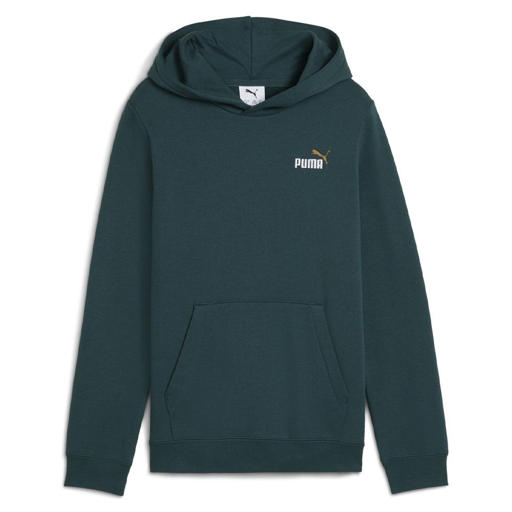 Sweat Vert Homme Puma 685825 pas cher