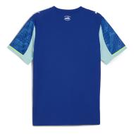 OM Maillot de Football Turquoise/Bleu Homme Puma 25/26 vue 2