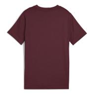 T-shirt Bordeaux Garçon Puma Ess 2 Color vue 2