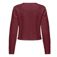 Blazer Bordeaux Femme JDY Ally vue 2