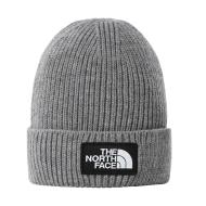 Bonnet Gris Homme The North Face NF0A3FJXDYY