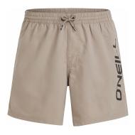Maillot de bain Marron Homme O'Neill Cali