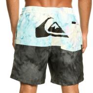 Maillot de bain Noir/Bleu Homme Quiksilver Butt Logo vue 2
