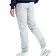 Jogging Gris Homme Le Coq Sportif Ess Pant Regular vue 2