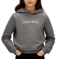 Sweat Gris Femme Calvin Klein Jeans Terr pas cher