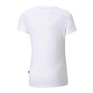 T-Shirt Blanc Garçon Puma Teamfinal vue 2