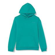 Sweat à Capuche Turquoise Garçon Levi's 8ED475 pas cher