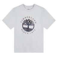 Camiseta gris para niño Timberland T60292 Grey