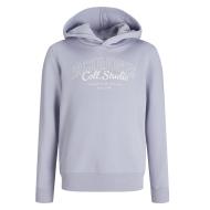 Sweat à Capuche Mauve Garçon Jack & Jones Makoto vue 3