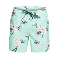 Short de bain Turquoise Homme Quiksilver Mix 177 vue 2