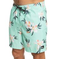 Short de bain Turquoise Homme Quiksilver Mix 177