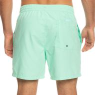 Maillot de bain Bleu Homme Quiksilver Vert 16 Jamv vue 2