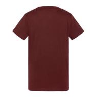 T-shirt Bordeaux Homme Schott Vintage vue 2