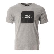 T-shirt Gris Homme O'Neill Cube