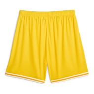 Short de Basketball Jaune Homme Puma Hoops Team Game Short vue 2