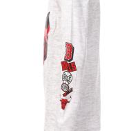T-shirt Manches Longues Gris Garçon NBA Chicago Bulls vue 3
