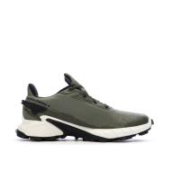 Chaussures de randonnées Kaki Homme Salomon Alphacross 4 vue 2