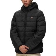 Doudoune Noir Homme Dickies Waldenburg pas cher