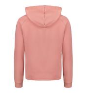 Sweat Rose Femme Le Coq Sportif Hoody vue 2