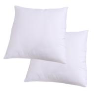 X2 Oreillers Blanc Dodo Confort Aéré 60x60 vue 2
