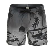 Quiksilver Paradise 15 Jamv Men’s Black Swimsuit Photo of the Espace des Marques %store% store - view of %key%