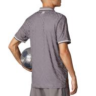 Real Madrid Authentisches Trikot Third Grau Mann Adidas 24/25 Ansicht 2