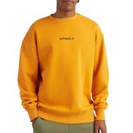 Sweat Orange Homme O'Neill Future Surf pas cher